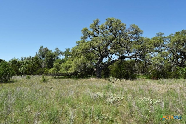 431 Oak Hvn, Spring Branch, TX 78070 - photo 15