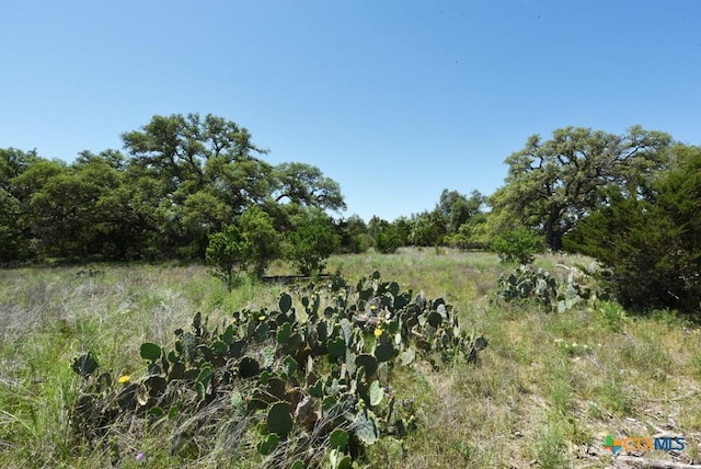 431 Oak Hvn, Spring Branch, TX 78070 - photo 13