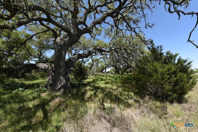 431 Oak Hvn, Spring Branch, TX 78070 - photo 9