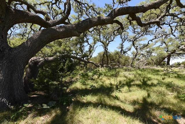 431 Oak Hvn, Spring Branch, TX 78070 - photo 12