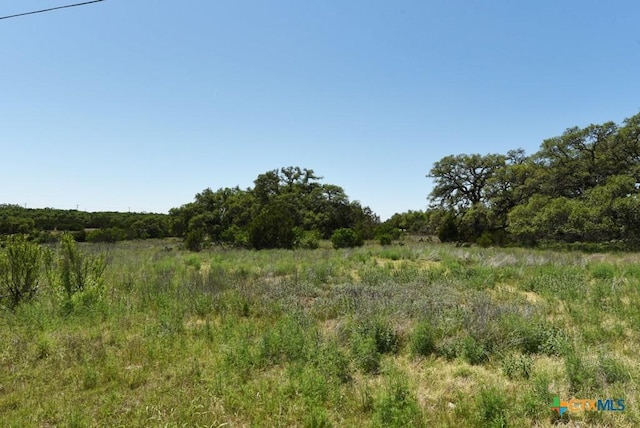 431 Oak Hvn, Spring Branch, TX 78070 - photo 17