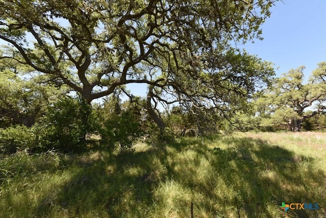 431 Oak Hvn, Spring Branch, TX 78070 - photo 2