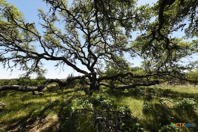 431 Oak Hvn, Spring Branch, TX 78070 - photo 16