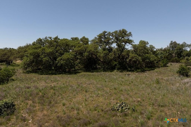 431 Oak Hvn, Spring Branch, TX 78070 - photo 11
