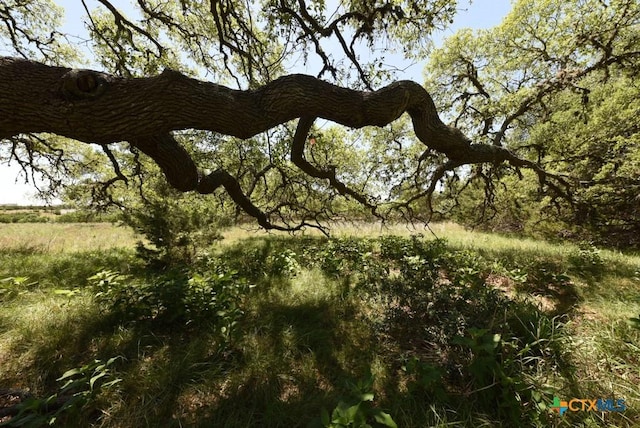 431 Oak Hvn, Spring Branch, TX 78070 - photo 7