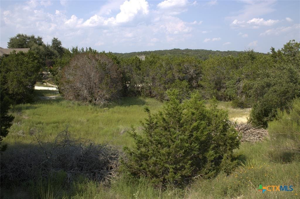 TBD William Travis, Fischer, TX 78623 - photo 1