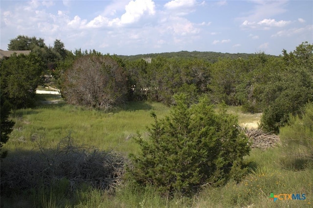 TBD William Travis, Fischer, TX 78623 - photo 1