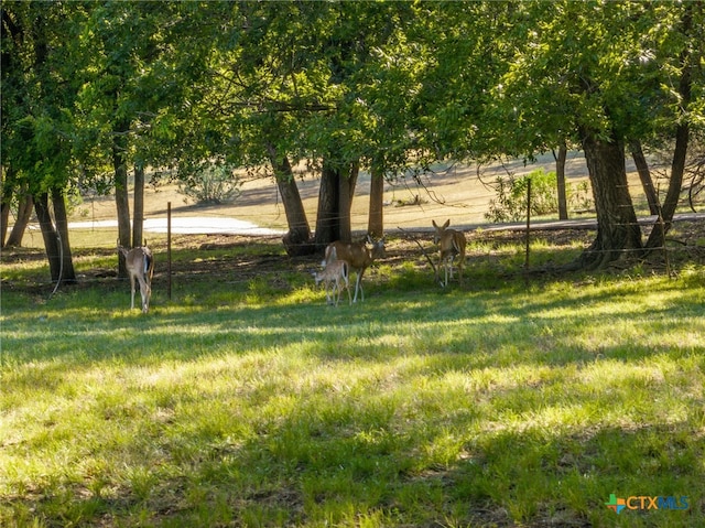 view of yard featuring a rural view