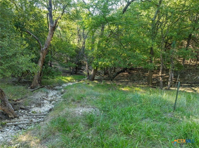 view of landscape