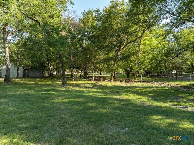 view of yard featuring a storage shed