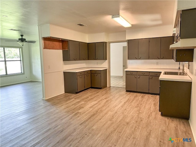 7260 Fm 531, Hallettsville, TX 77964 - kitchen with light wood-type flooring, ceiling fan, under cabinet range hood, and light countertops