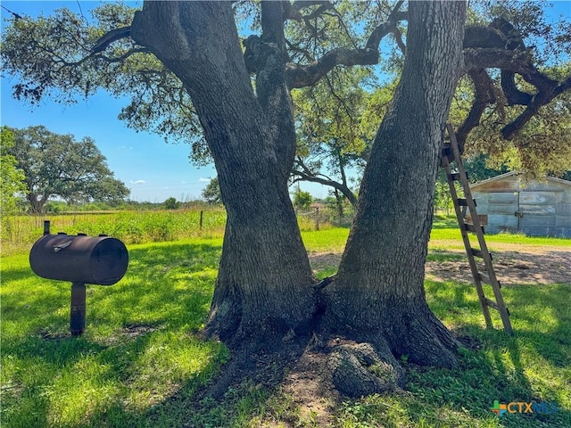 7260 Fm 531, Hallettsville, TX 77964 - view of community with a yard