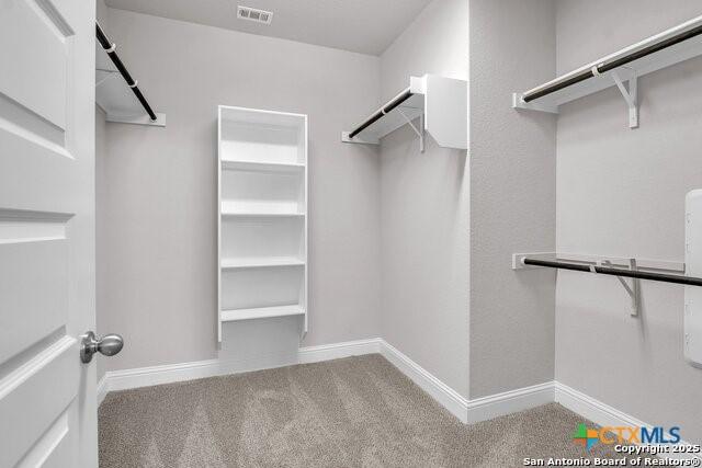 spacious closet featuring carpet