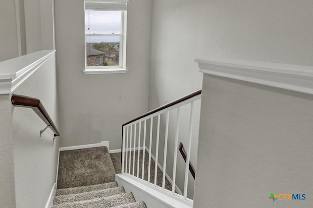 staircase featuring carpet