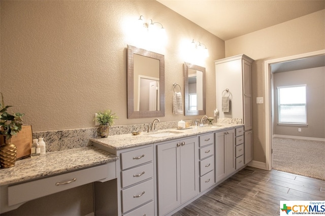 bathroom with hardwood / wood-style flooring and vanity