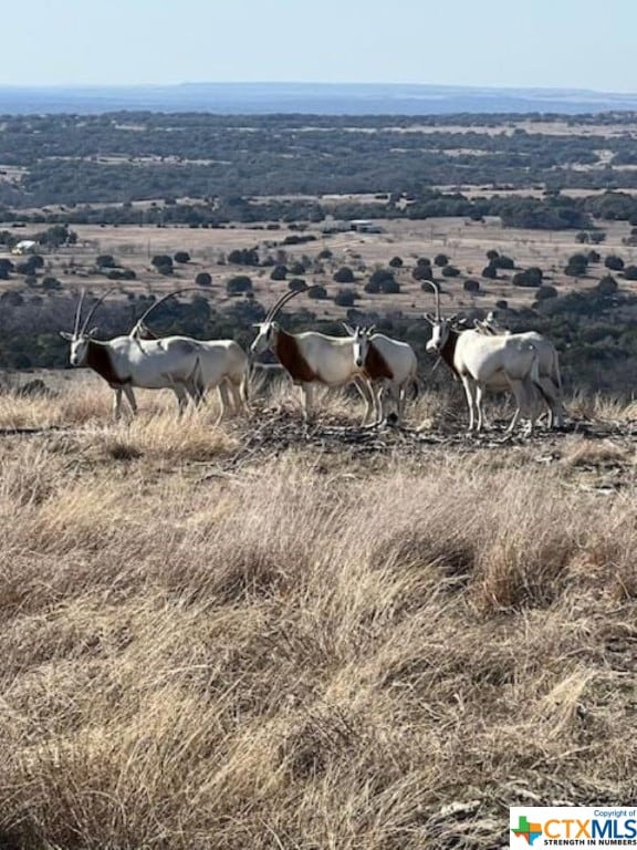 LOT23 Cottonwood Mesa Dr, Kempner TX, 76539 land for sale