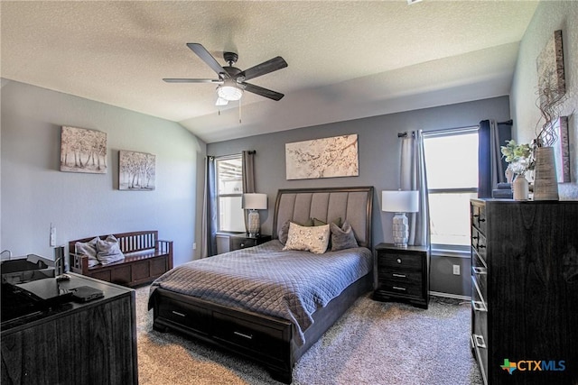 bedroom featuring multiple windows, light carpet, lofted ceiling, and a textured ceiling