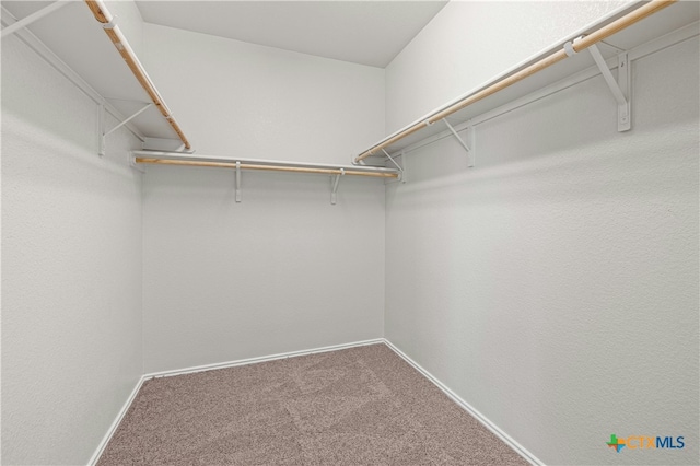 walk in closet with carpet