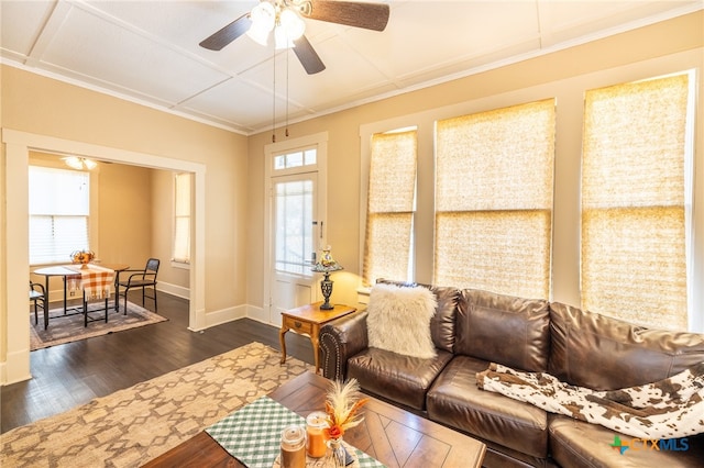 living room featuring ceiling fan, dark hardwood / wood-style flooring, and crown molding