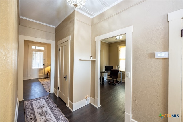 hallway with crown molding, dark wood-type flooring, and a chandelier