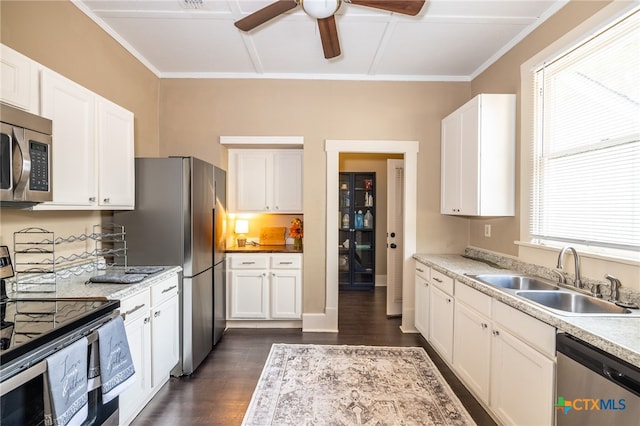 kitchen featuring a wealth of natural light, sink, appliances with stainless steel finishes, and dark wood-type flooring