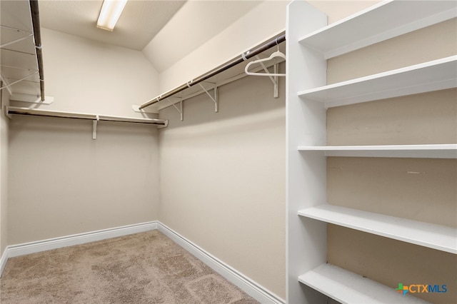 2989 Saddlehorn Dr, Seguin, TX 78155 - walk in closet with carpet flooring