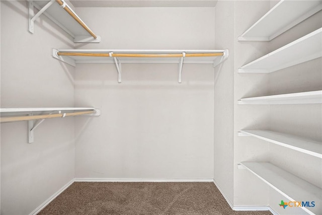 4805 Farrell Ln, Killeen, TX 76549 - walk in closet featuring carpet