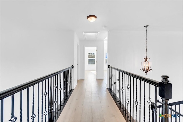 hallway featuring wood-type flooring