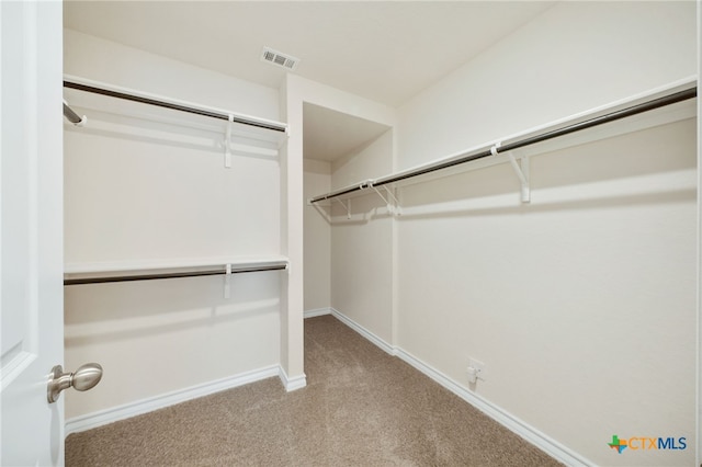 spacious closet with light carpet