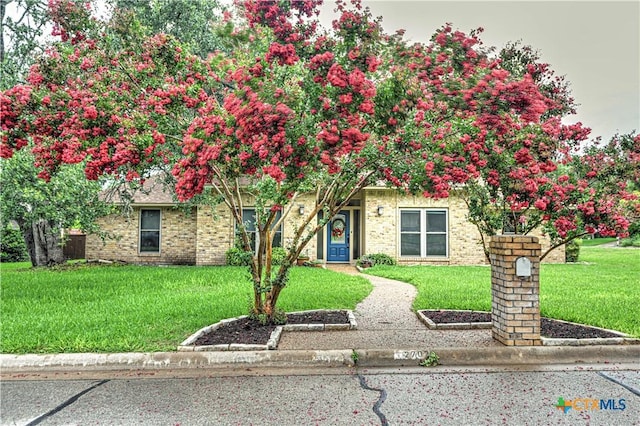 2702 Olympia Dr, Temple, TX 76502 - obstructed view of property featuring a front yard and brick siding