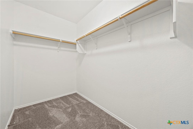 306 W Gemini Ln, Killeen, TX 76542 - spacious closet with carpet