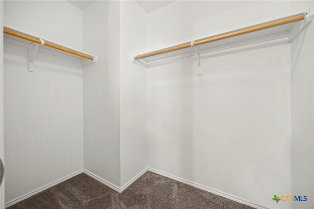 306 W Gemini Ln, Killeen, TX 76542 - walk in closet with dark colored carpet