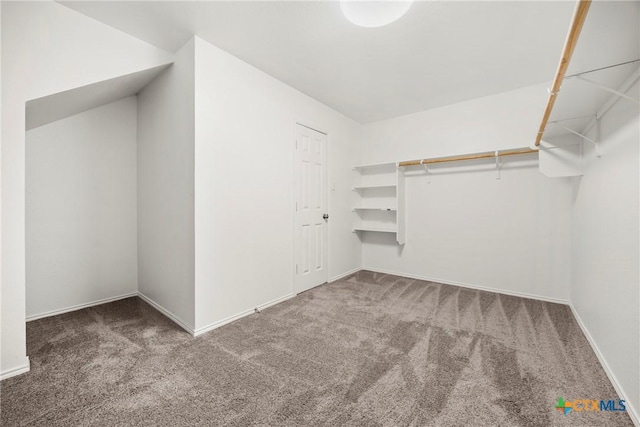 306 W Gemini Ln, Killeen, TX 76542 - spacious closet with carpet flooring