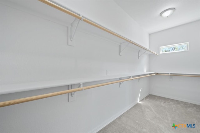 spacious closet featuring light colored carpet