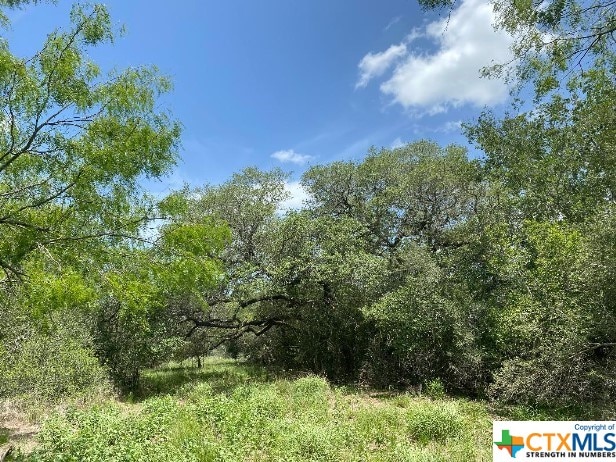 Listing photo 3 for 000 US Highway 77a N, Cuero TX 77995