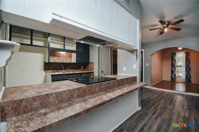 kitchen featuring arched walkways, black electric cooktop, a sink, decorative backsplash, and dark wood finished floors