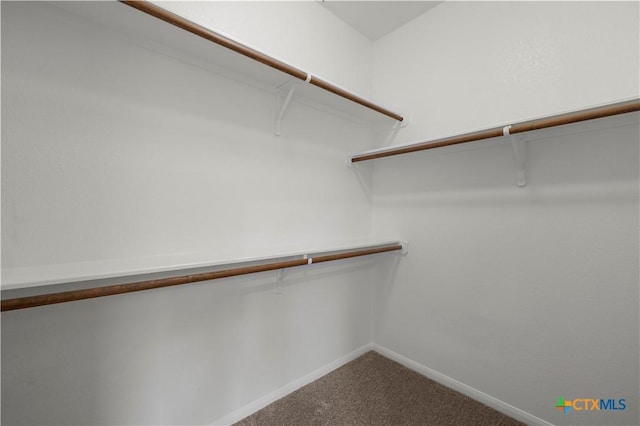 5928 Alexandria Dr, Temple, TX 76502 - walk in closet featuring carpet