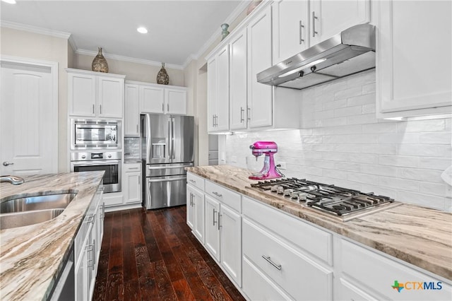 124 Cherokee Rose Cir, Georgetown, TX 78626 - kitchen with under cabinet range hood, appliances with stainless steel finishes, a sink, white cabinets, and dark wood-type flooring