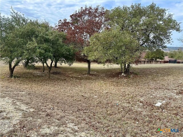 LOT24 Andys Pt, Burnet, TX 78611 - photo 6