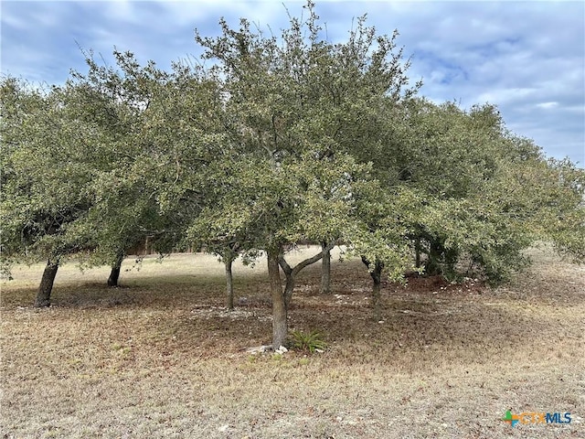 LOT24 Andys Pt, Burnet, TX 78611 - photo 8