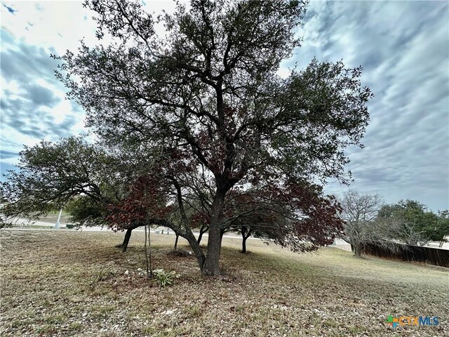 LOT24 Andys Pt, Burnet, TX 78611 - photo 11