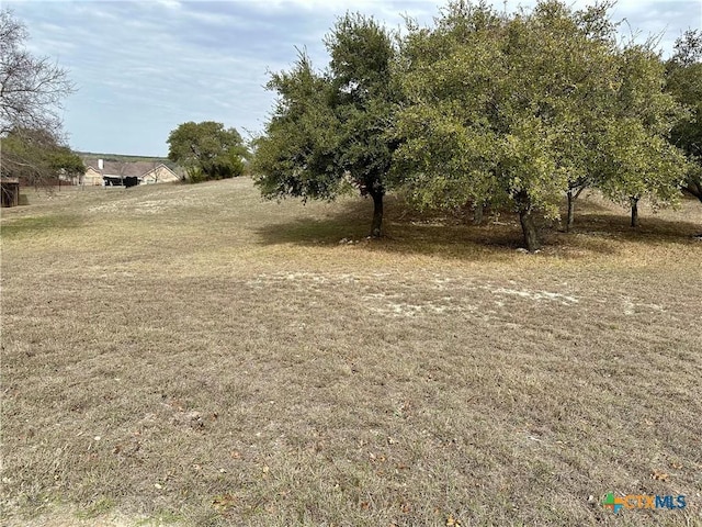 LOT24 Andys Pt, Burnet, TX 78611 - photo 9