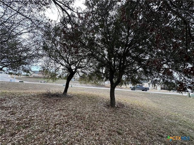 LOT24 Andys Pt, Burnet, TX 78611 - photo 12