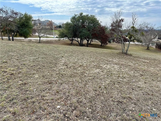LOT24 Andys Pt, Burnet, TX 78611 - photo 7
