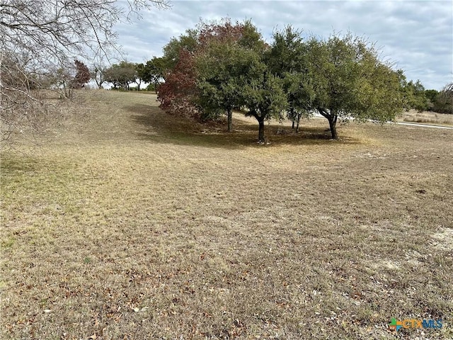 LOT24 Andys Pt, Burnet, TX 78611 - photo 10