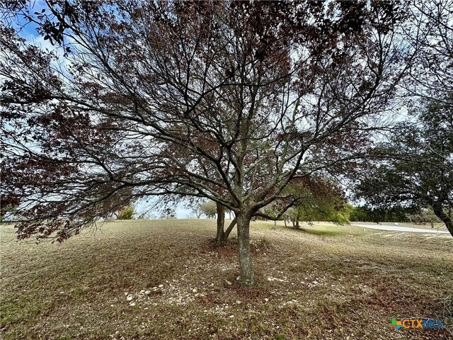 LOT24 Andys Pt, Burnet, TX 78611 - photo 13