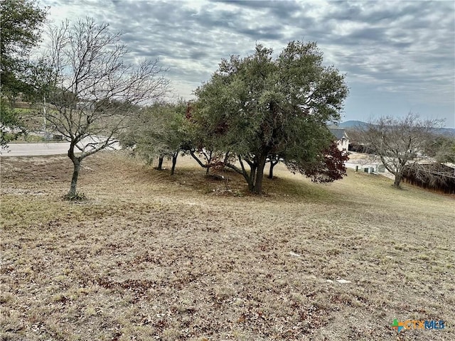 LOT24 Andys Pt, Burnet, TX 78611 - photo 4