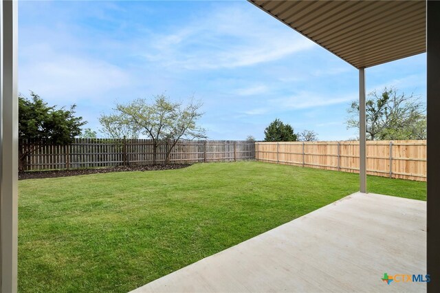 view of yard featuring a patio area