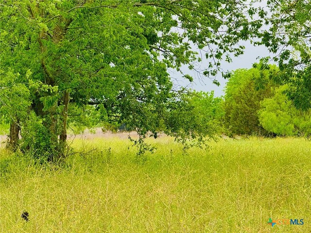 Lot4 Old Pidcoke, Gatesville, TX 76528 - photo 3