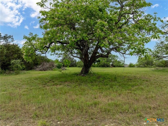 Lot4 Old Pidcoke, Gatesville, TX 76528 - photo 16